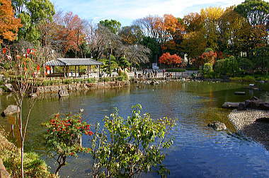 川は池へと流れます