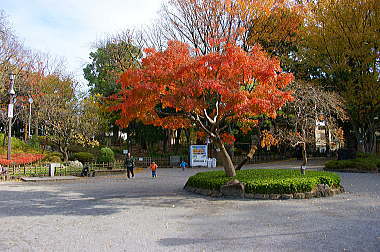 園内は紅葉真っ盛り