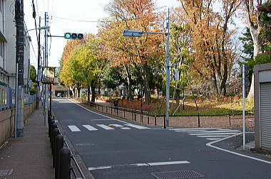 右に分かれる道へ