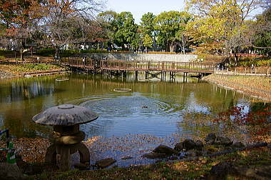 ここにも日本庭園が