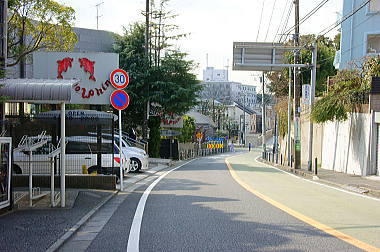 「根岸」のドルフィン？