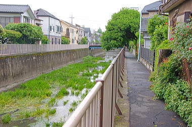 善福寺川