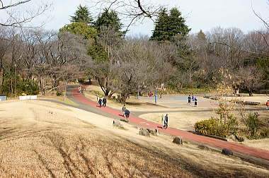 広大な公園です