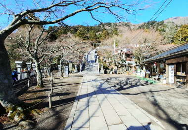 茶店がありました