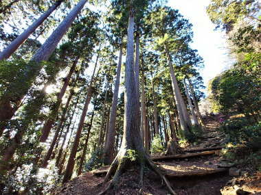 険しい山道