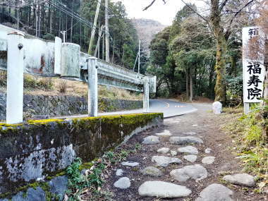 県道へ合流