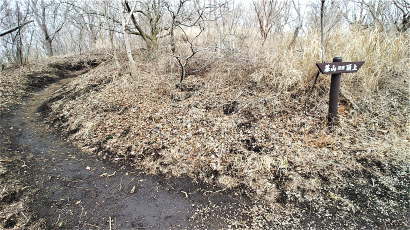 再び山頂近道