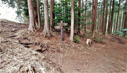 南郷山への分岐点