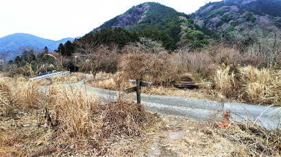 登山道もここまで