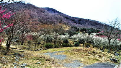 湯河原梅園が見えて来た