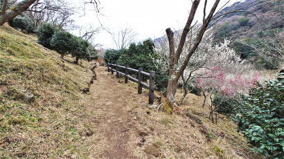 花見客はまだそれ程でも・・・