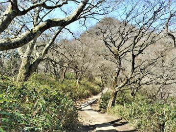 正面は女体山