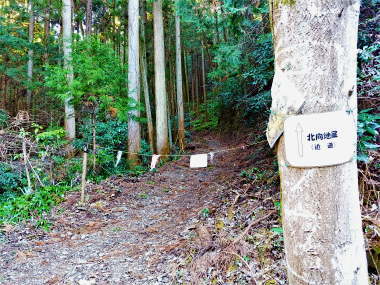 指導標に従い再び登山道へ