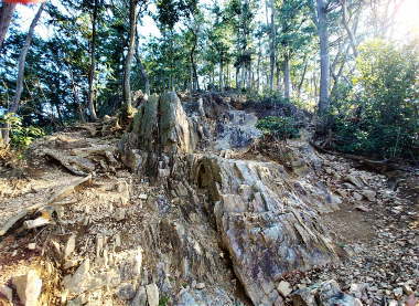 日和田山山頂への急登