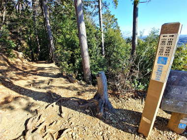 女坂で下山