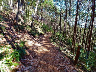 短時間で下山