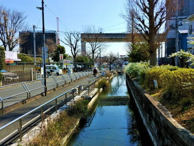 途切れている、日暮里舎人ライナーの高架橋。