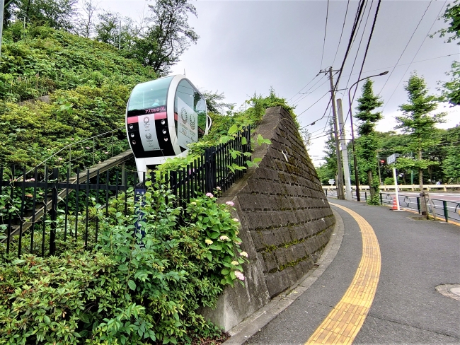 いざ山頂へ