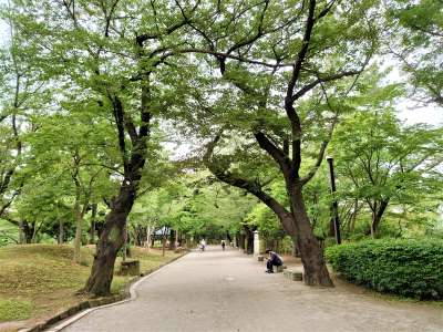 飛鳥山は花見の名所