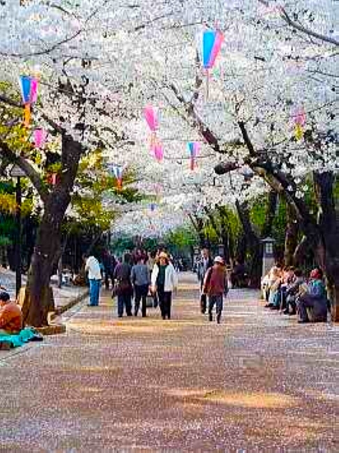 2003年4月撮影