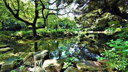 回遊式庭園