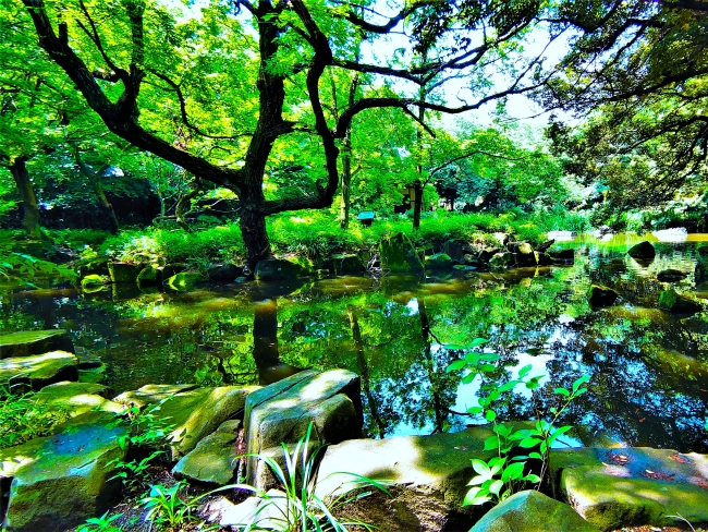 回遊式庭園