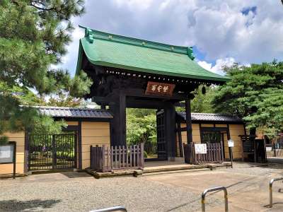 豪徳寺　山門