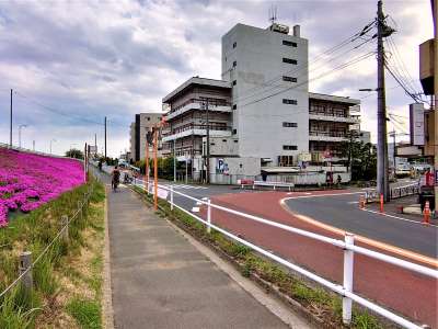 横断歩道を渡って右へ