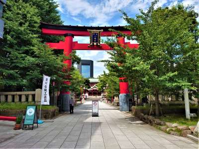 大鳥居と正面参道