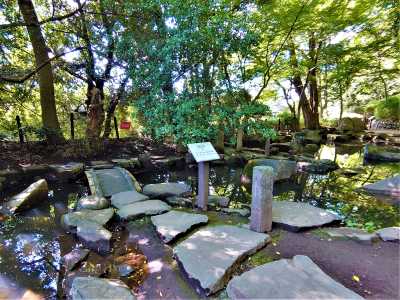 唯心庭の概念橋