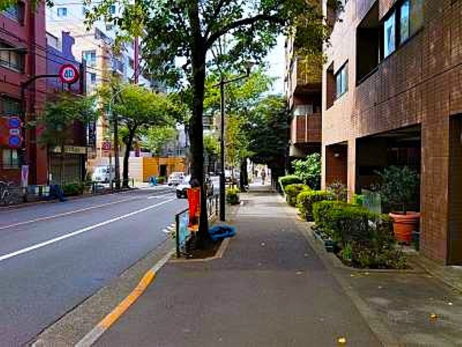 新青梅街道