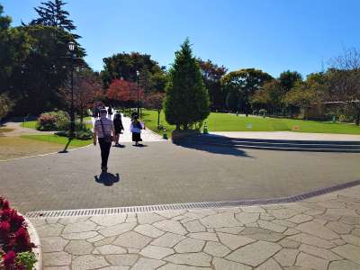 公園の散策路を進む