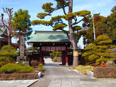 大坊本行寺 山門