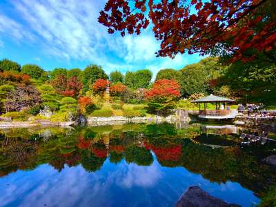 池泉庭園