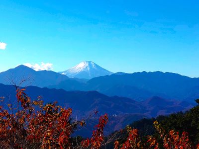 美しい富士の見納めです