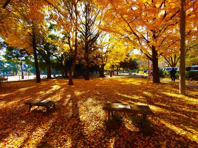 和田堀公園