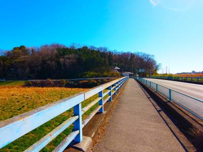 正面の丘陵は松山城跡