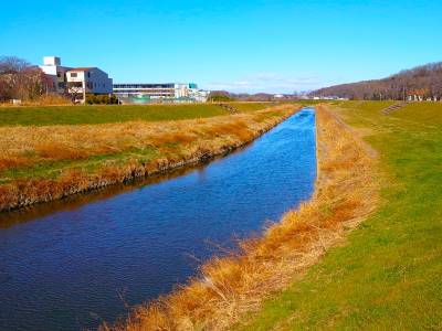 市野川