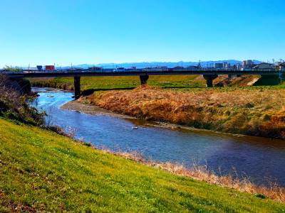 市野川橋