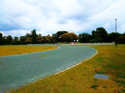 陸上競技場 トラック